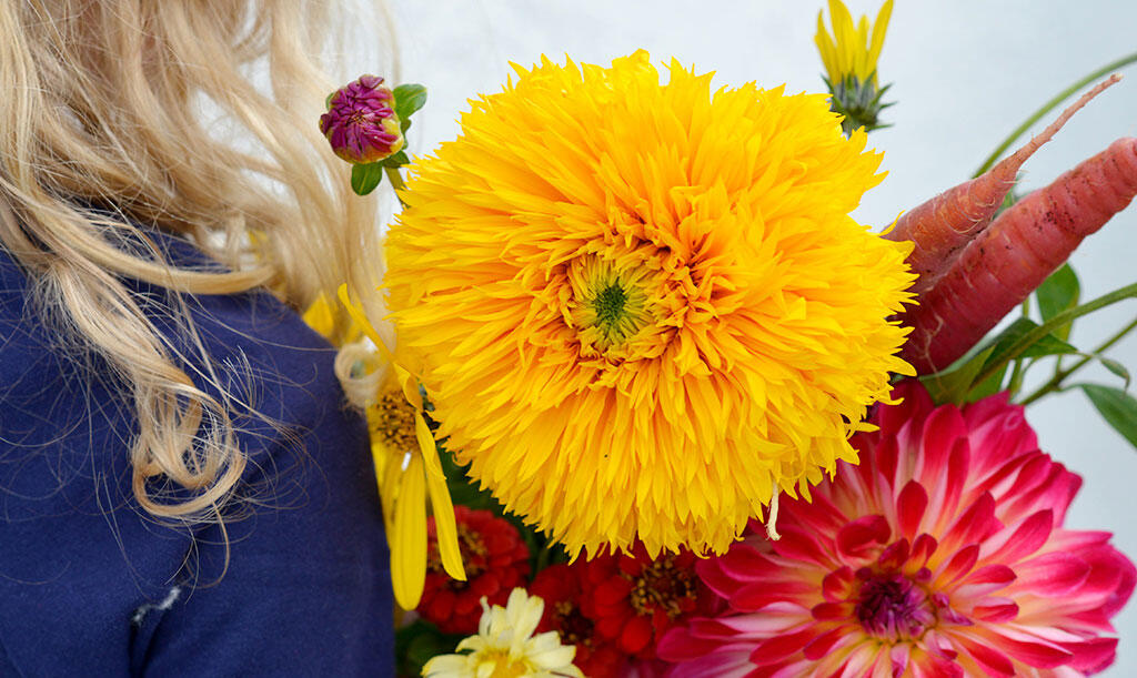 Ein farbenfroher Sommerstrauß mit Sonnenblumen, Dahlien und Karotten schaut hinter der Schulter eines Mädchens hervor. 