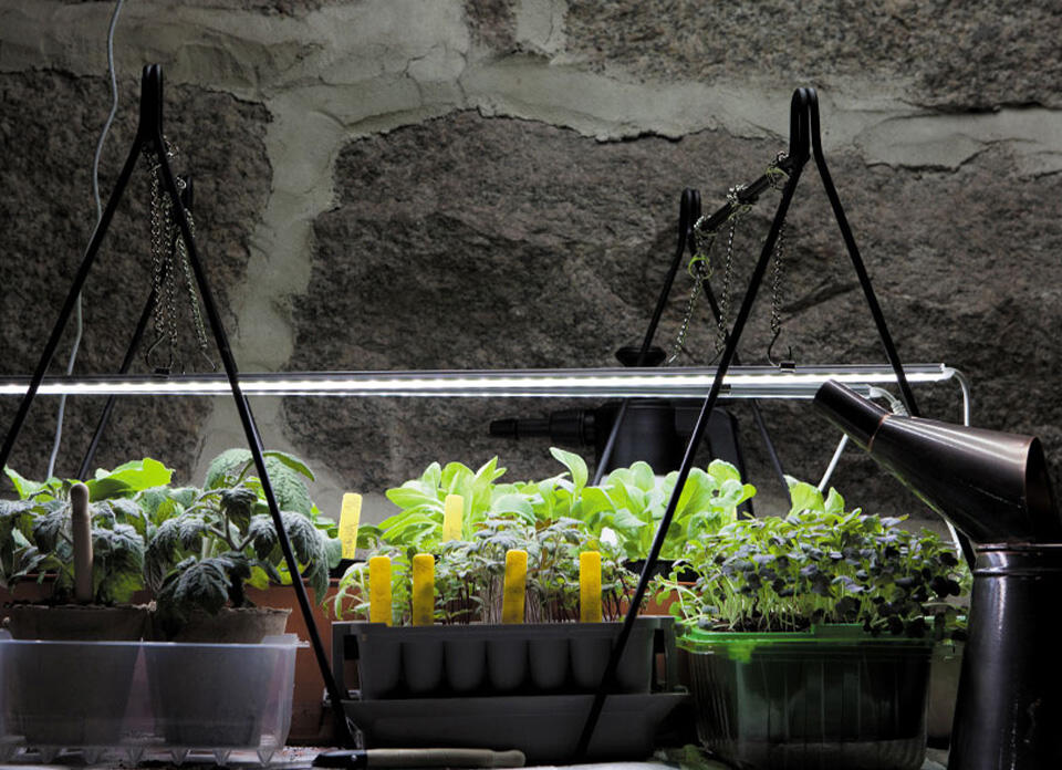 Pflanzenlampe Garden Verlängerung | LED, Nelson