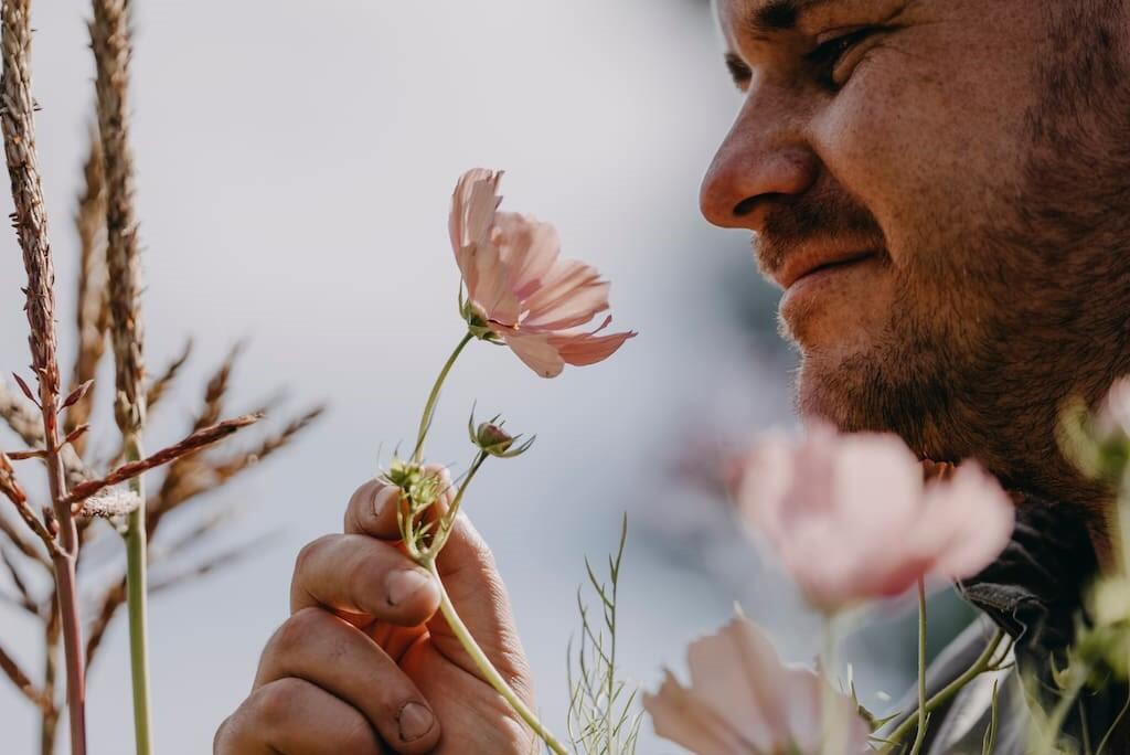 Nelson_Garden_grow_flower_meadow_image_4.jpg