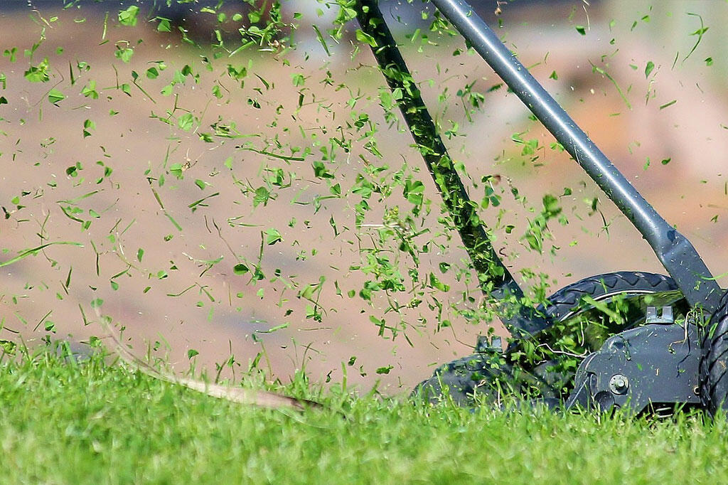 Nelson_Garden_ Fertilising lawns_Image2.jpg