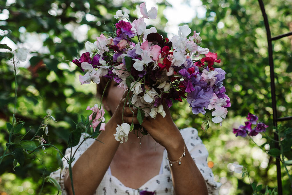 Nelson_Garden_Growing sweet peas_image_1.jpg