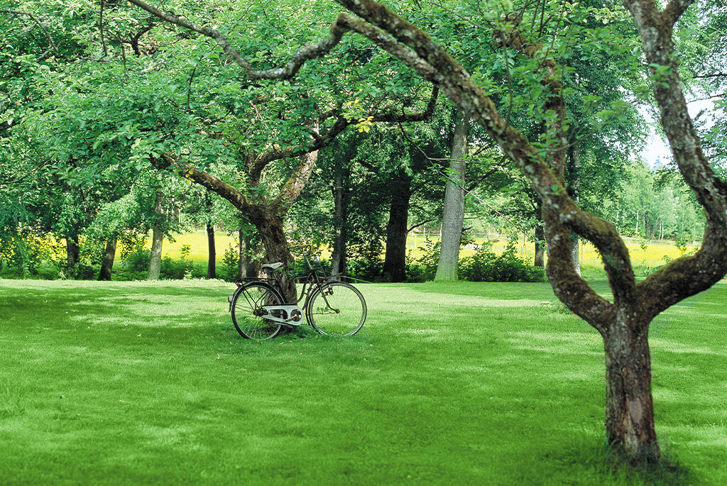 Nelson_Garden_Sowing grass in autumn_image_3.jpg