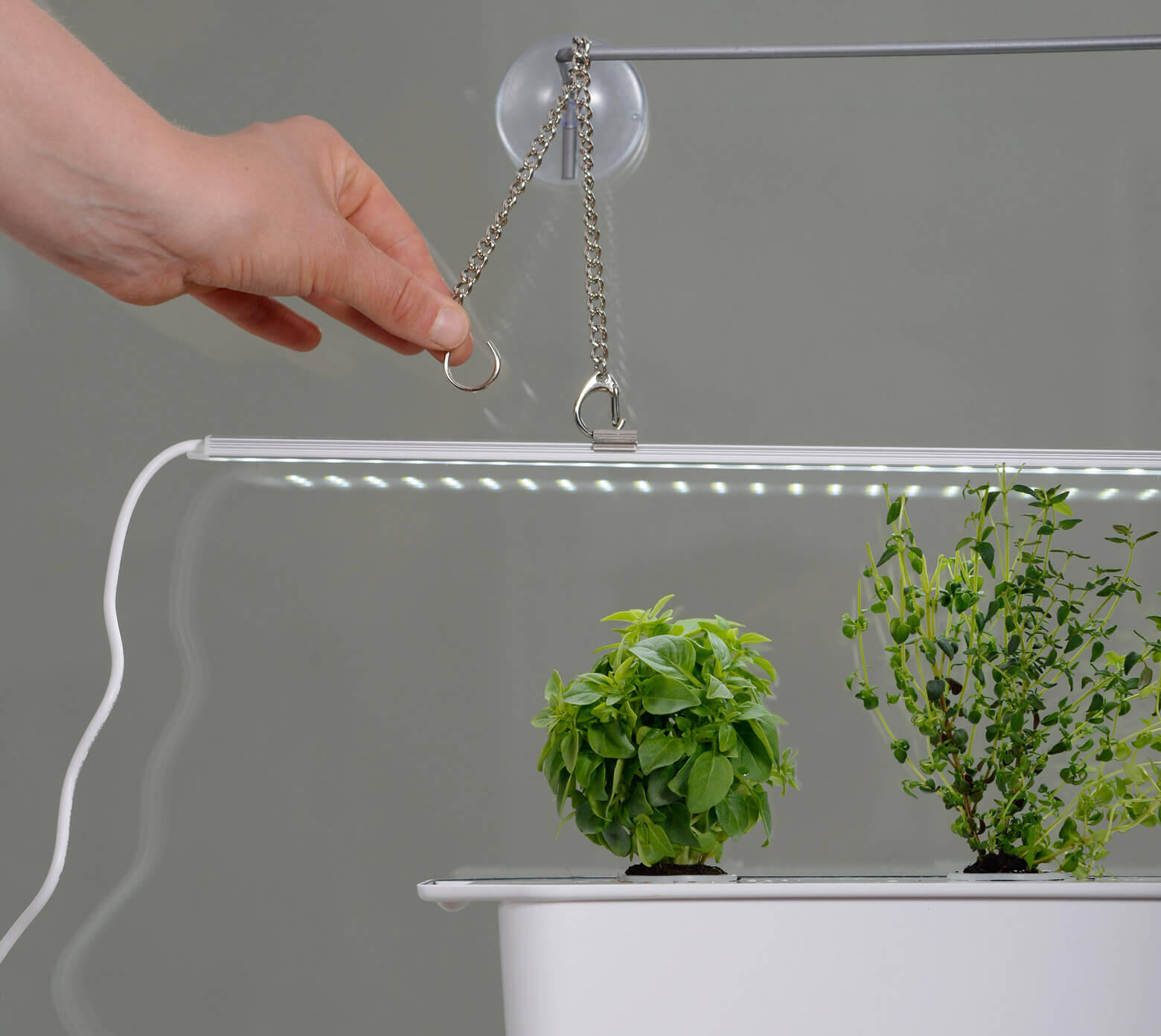 The ultimate guide to cultivating with grow lights Nelson Garden