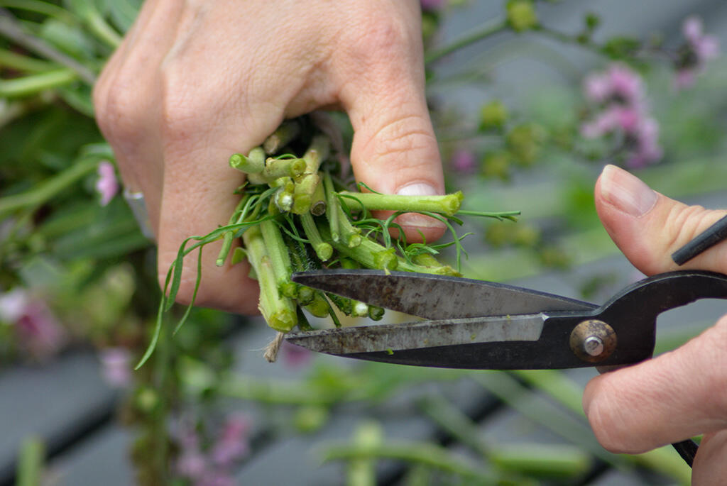 Nelson_Garden_Tying a spiral bouquet_image_1.jpg