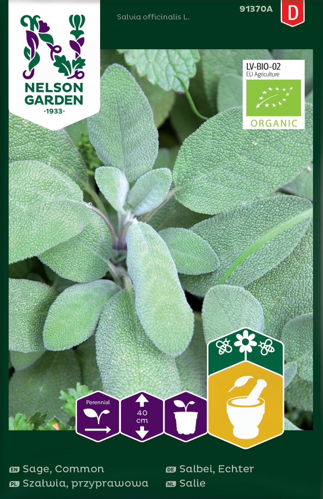 Echter Salbei, ökologisch Samen Nelson Garden